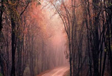 国际奥委会第144次全会落幕.